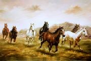 unknow artist Horses 03 Spain oil painting artist